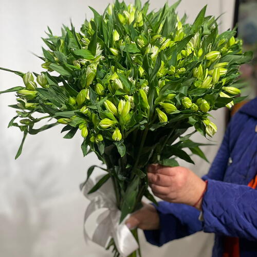 review-photo-before