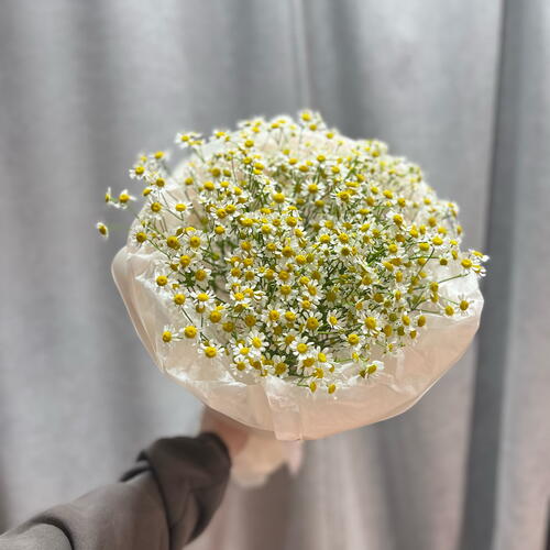 review-photo-before