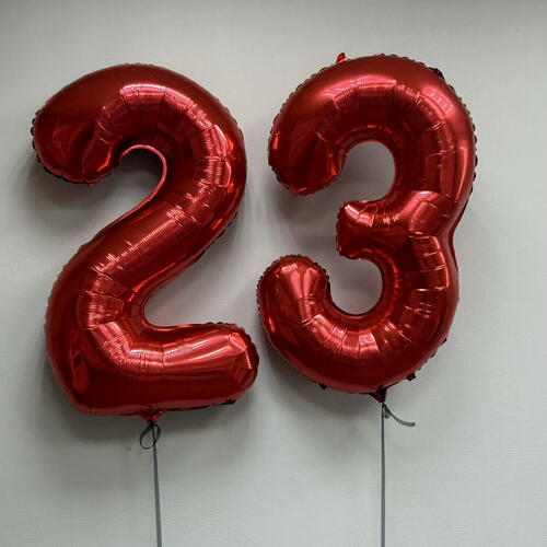review-photo-before