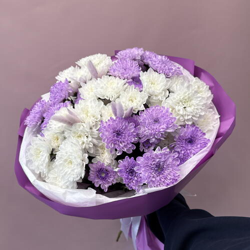 review-photo-before