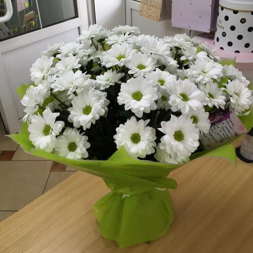 review-photo-before