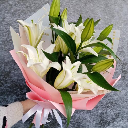 review-photo-before