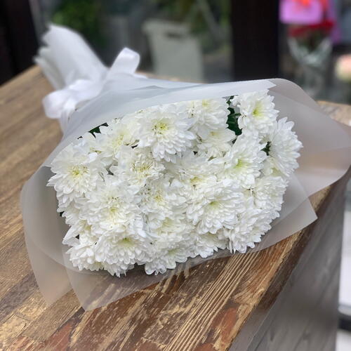 review-photo-before