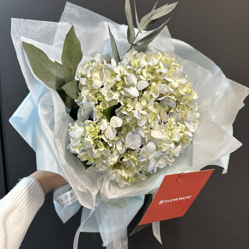review-photo-before