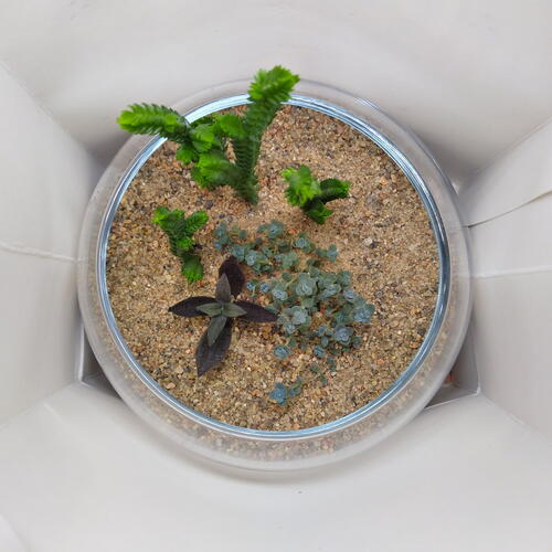 review-photo-before