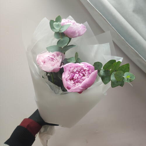 review-photo-before