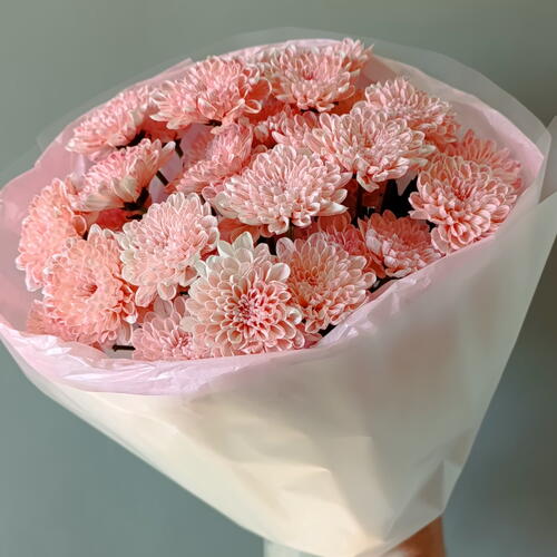 review-photo-before