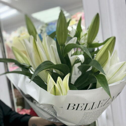 review-photo-before