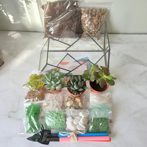 review-photo-before