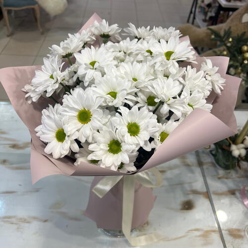 review-photo-before