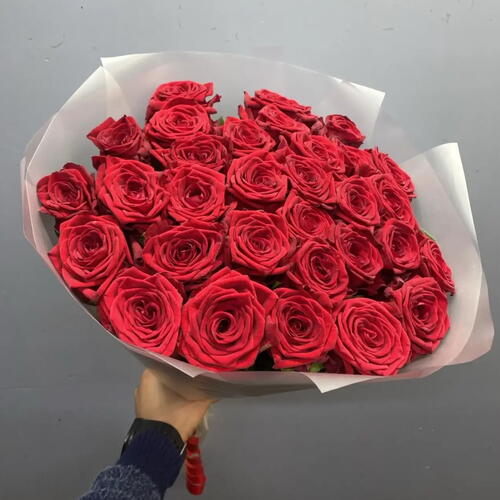 review-photo-before