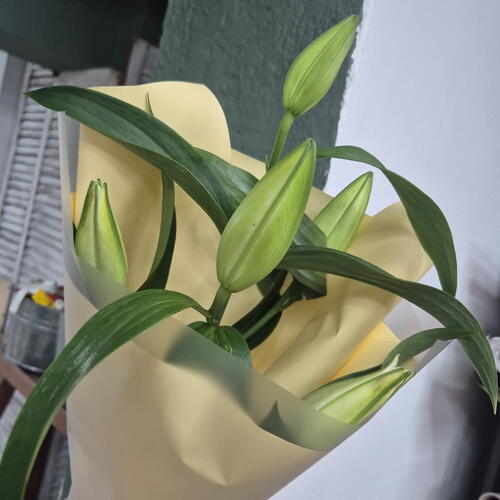 review-photo-before