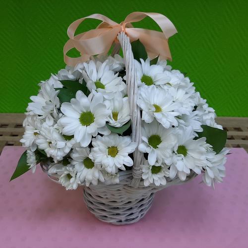 review-photo-before