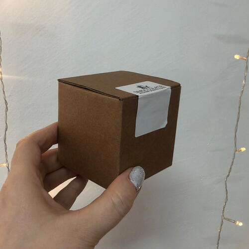 review-photo-before