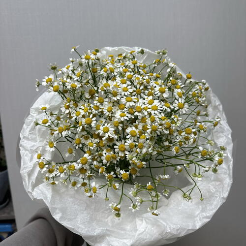 review-photo-before