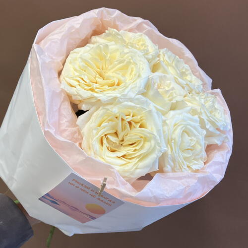 review-photo-before