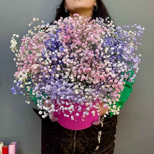review-photo-before