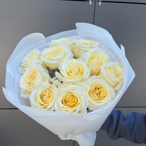review-photo-before