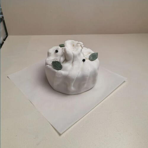 review-photo-before