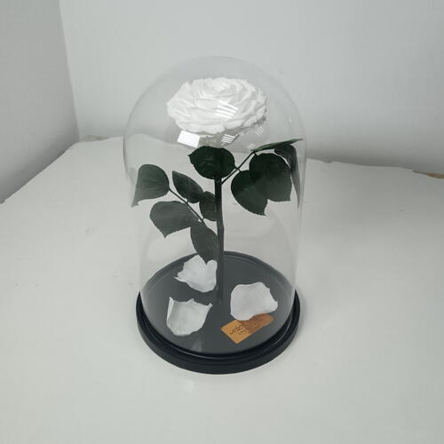 review-photo-before