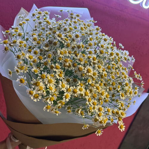 review-photo-before
