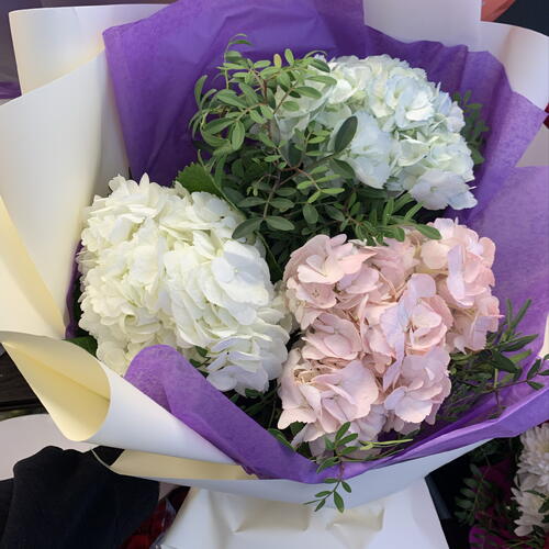 review-photo-before