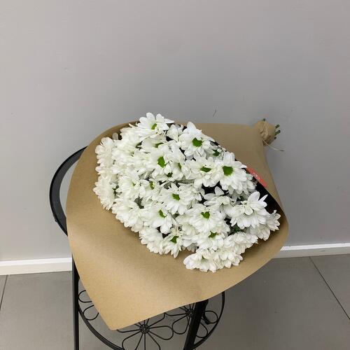 review-photo-before