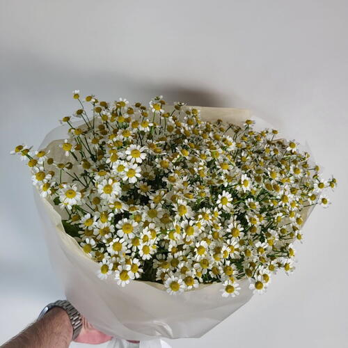 review-photo-before