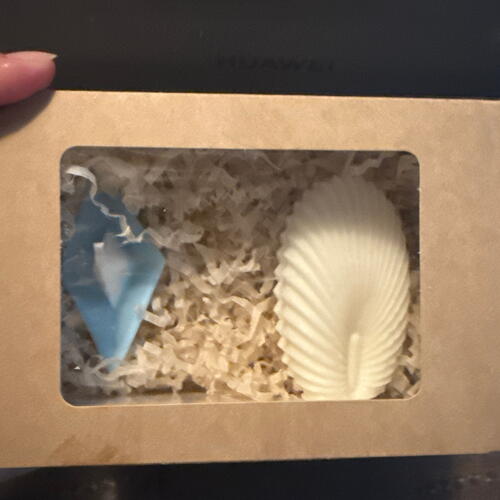 review-photo-before