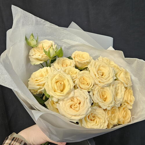 review-photo-before