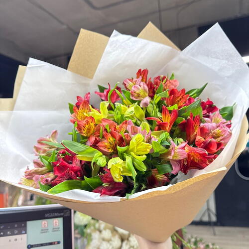 review-photo-before