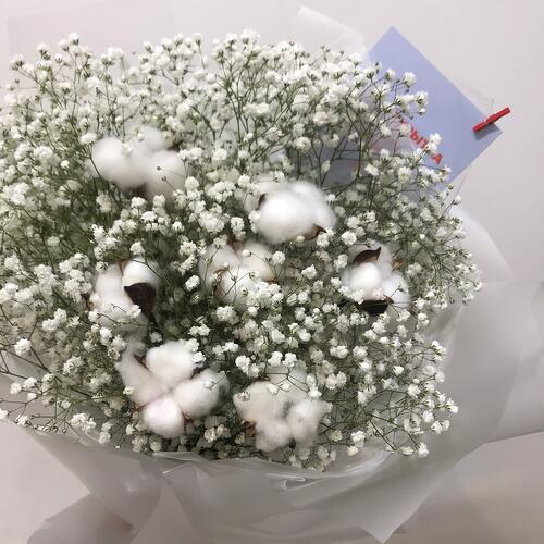 review-photo-before