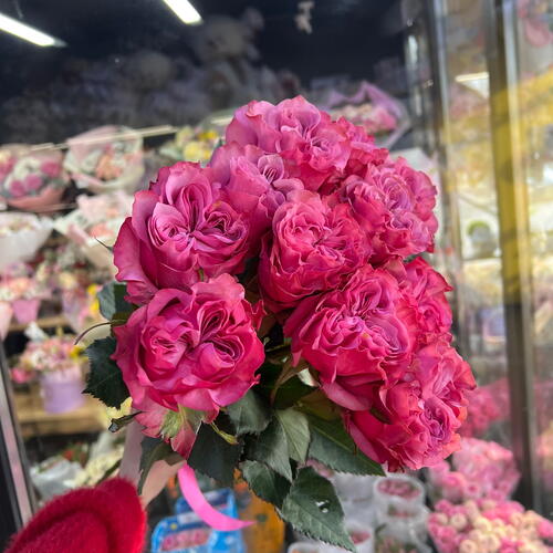 review-photo-before