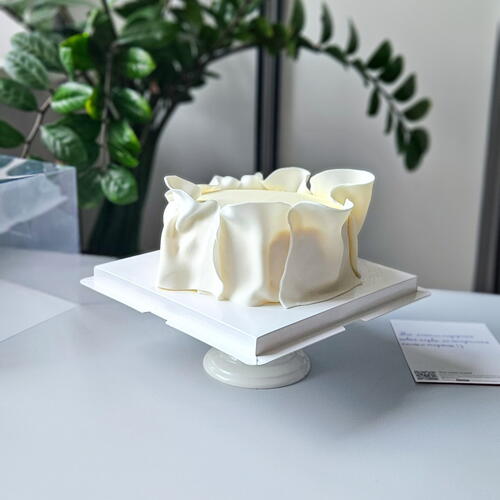 review-photo-before