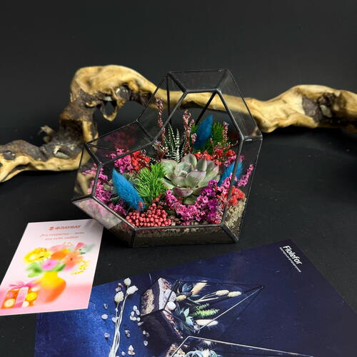 review-photo-before