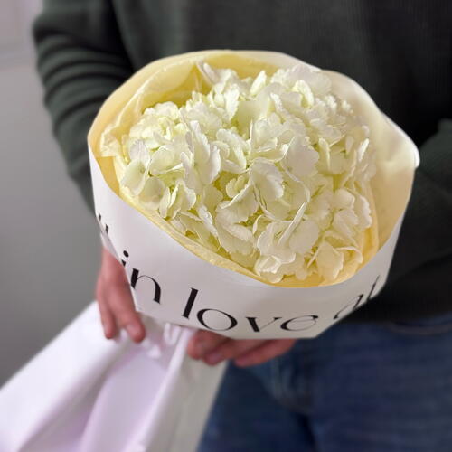 review-photo-before