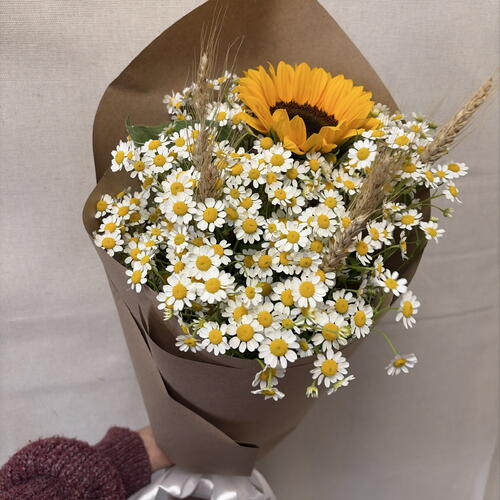 review-photo-before