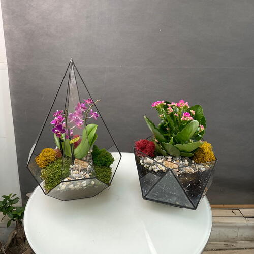 review-photo-before