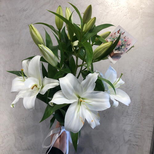 review-photo-before