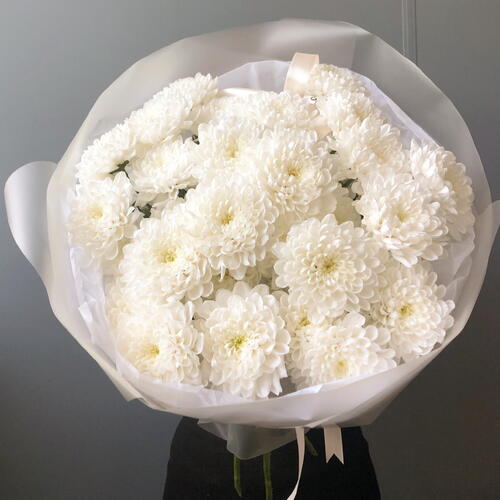 review-photo-before