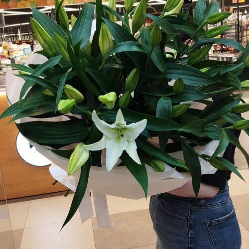 review-photo-before