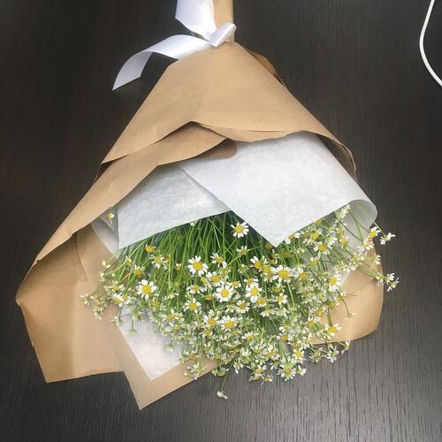 review-photo-before