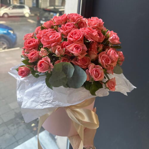 review-photo-before