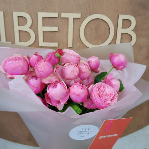 review-photo-before