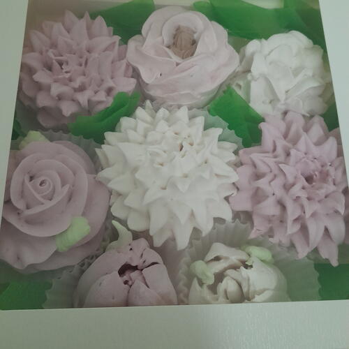 review-photo-before