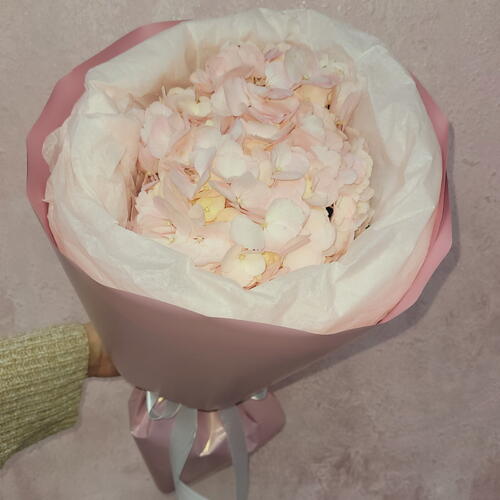review-photo-before