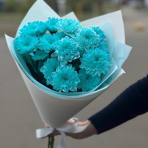 review-photo-before