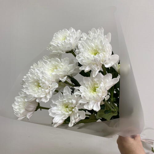 review-photo-before