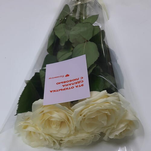 review-photo-before