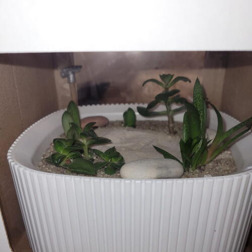 review-photo-before